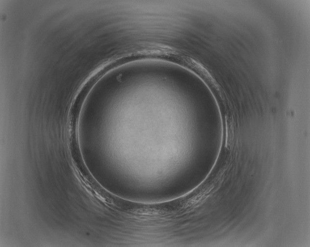 X0000085260435200703091327