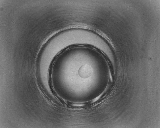 X0000085260436200703091328