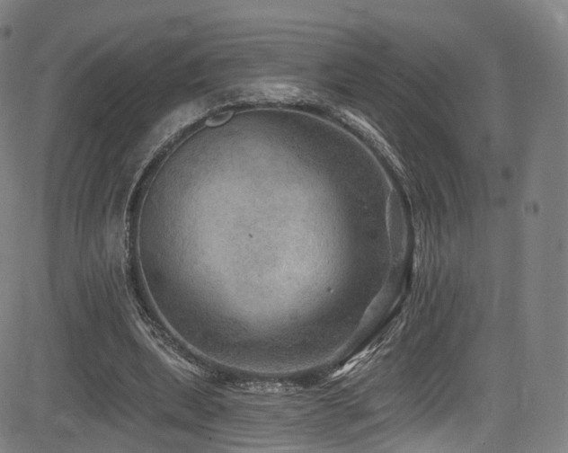 X0000085260439200703091328