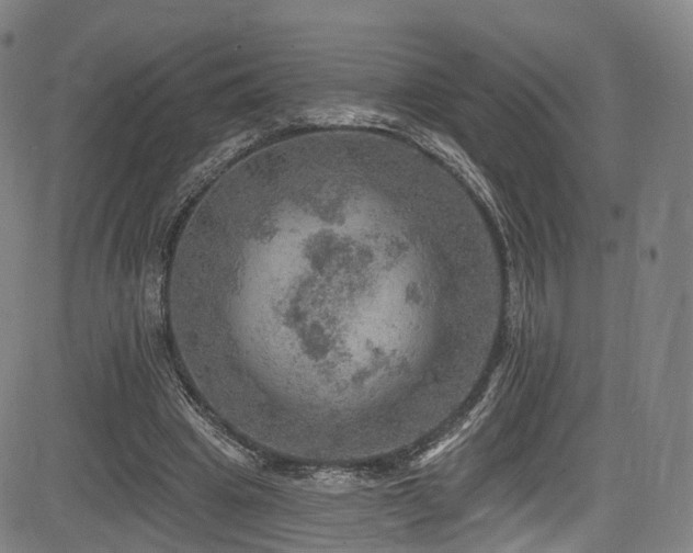 X0000085260441200703091328