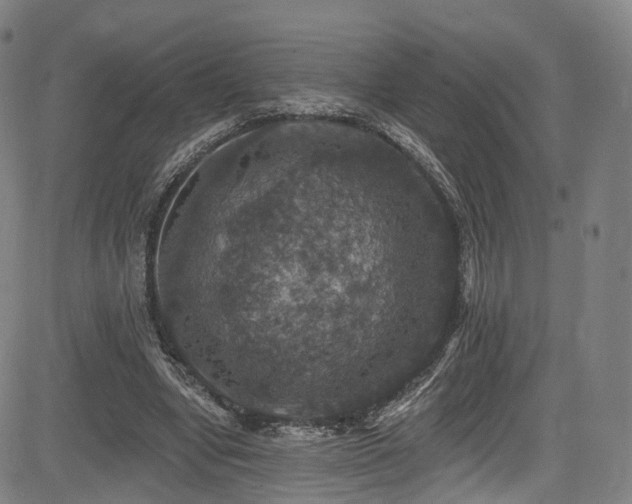 X0000085260442200703091328