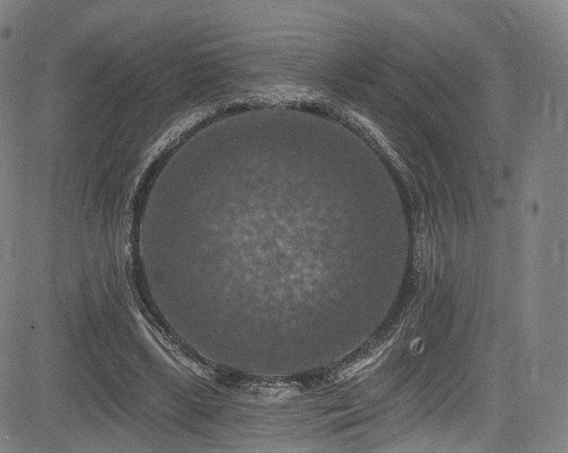 X0000085260443200703091328