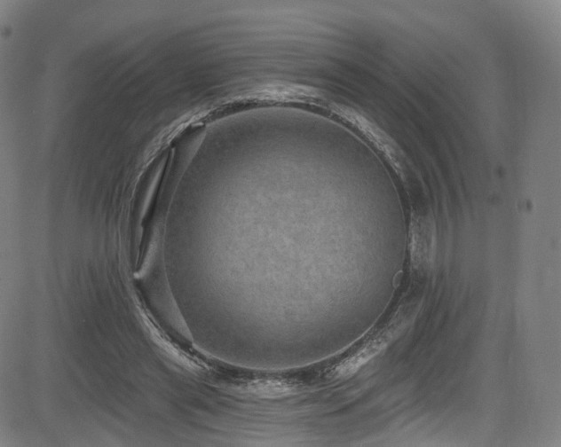 X0000085260445200703091328