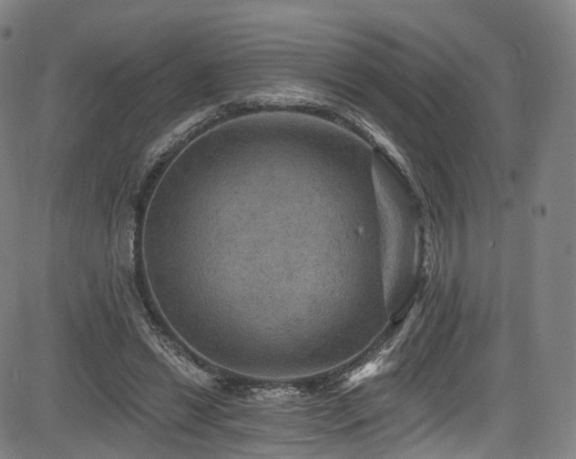 X0000085260446200703091328