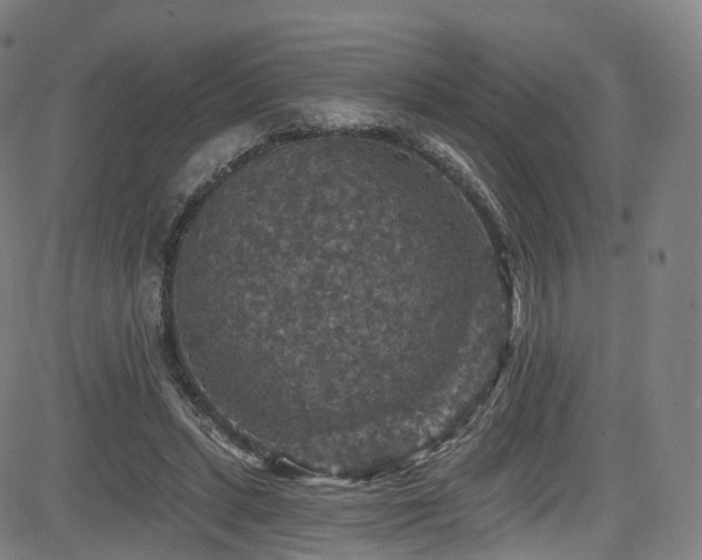 X0000085260447200703091328