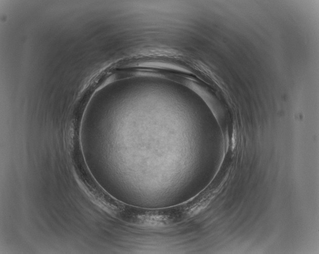 X0000085260448200703091328