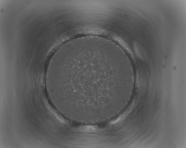 X0000085260449200703091328