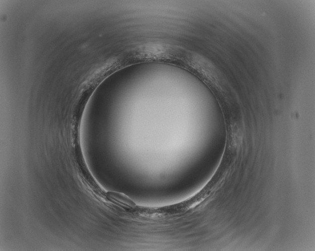 X0000085260450200703091328