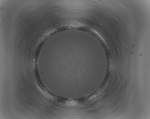 X0000085260451200703091328