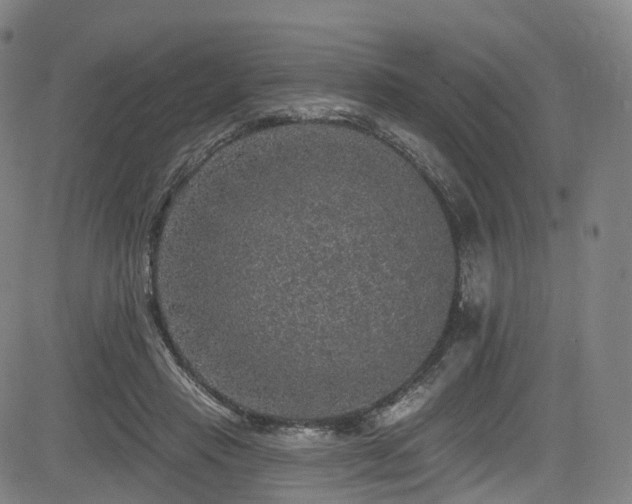 X0000085260453200703091328