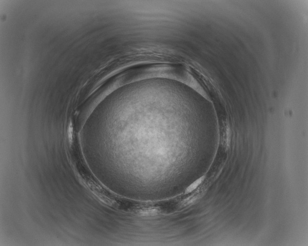 X0000085260456200703091328