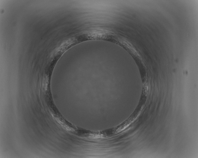 X0000085260458200703091328