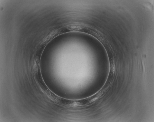 X0000085260460200703091328