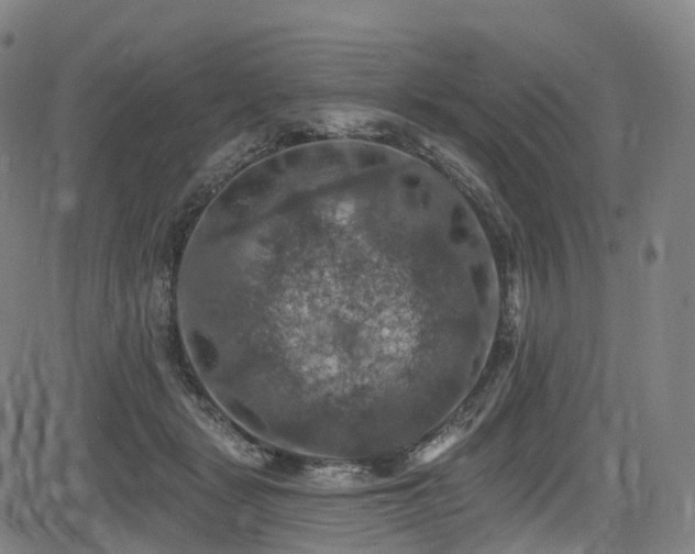 X0000085260461200703091328