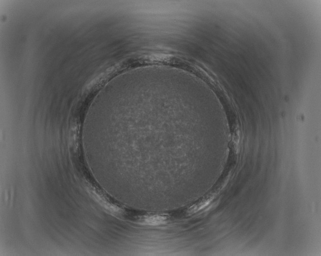 X0000085260462200703091328