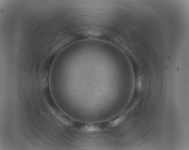 X0000085260464200703091328