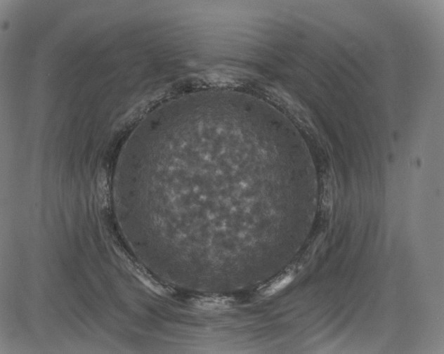 X0000085260465200703091328