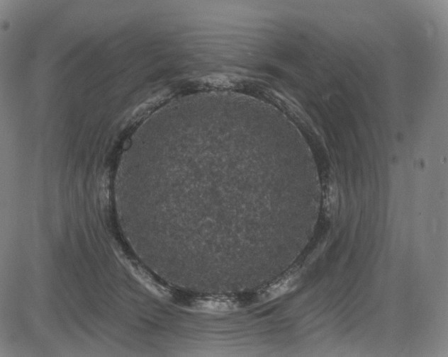 X0000085260466200703091328