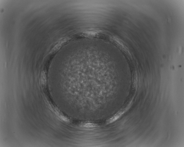 X0000085260467200703091328