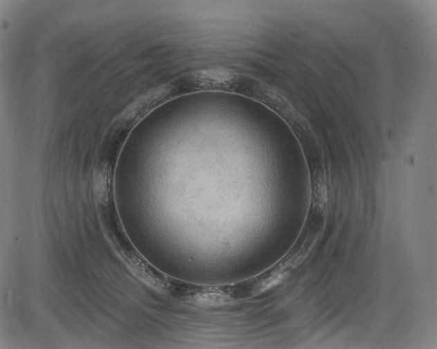 X0000085260468200703091328