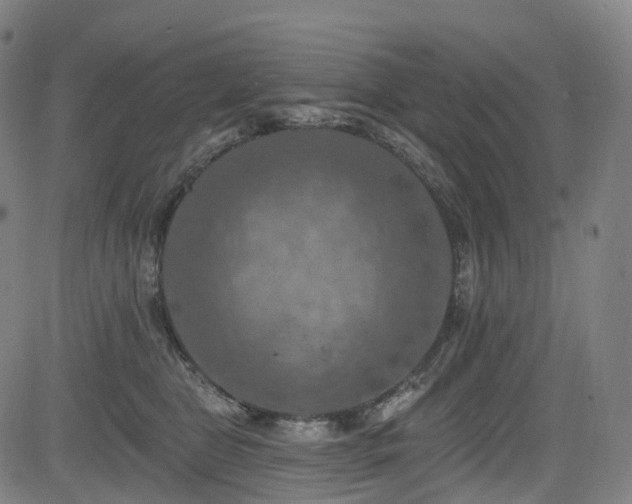 X0000085260469200703091328