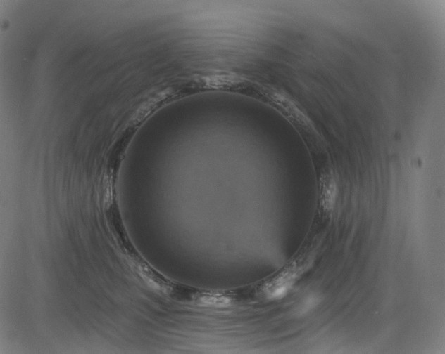 X0000085260471200703091328