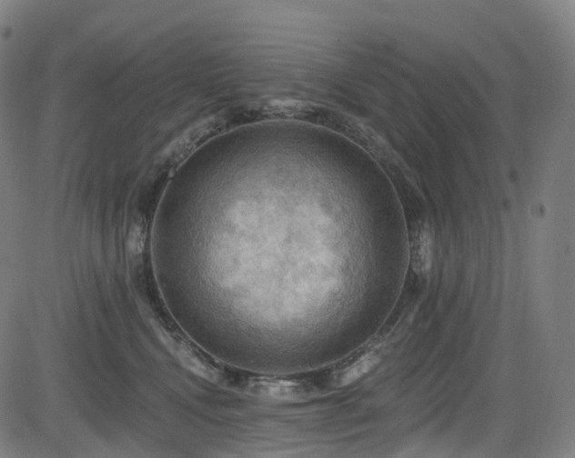 X0000085260472200703091328