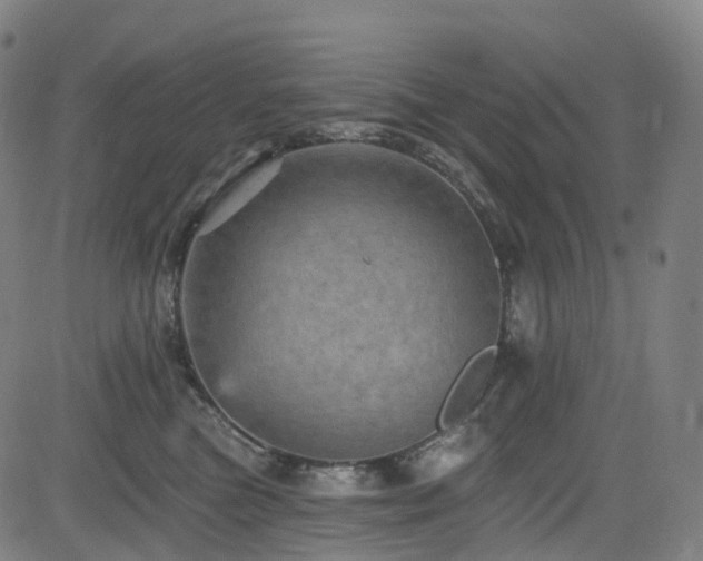 X0000085260473200703091328