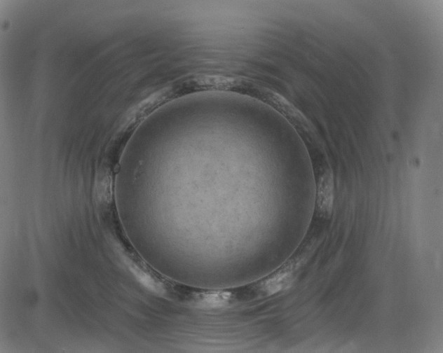 X0000085260474200703091328