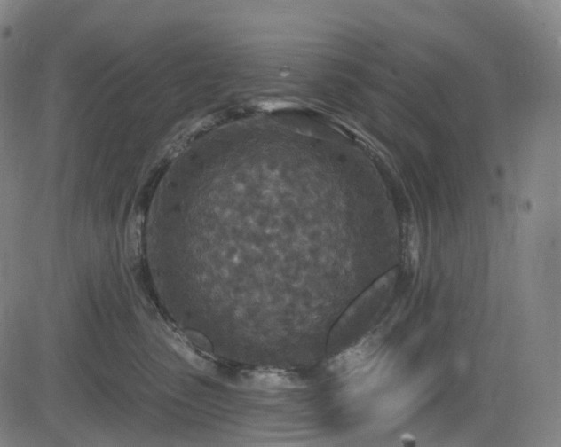 X0000085260475200703091328