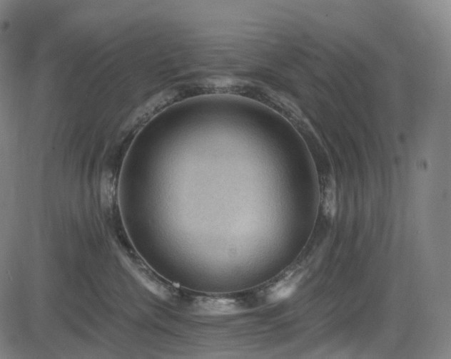 X0000085260476200703091328