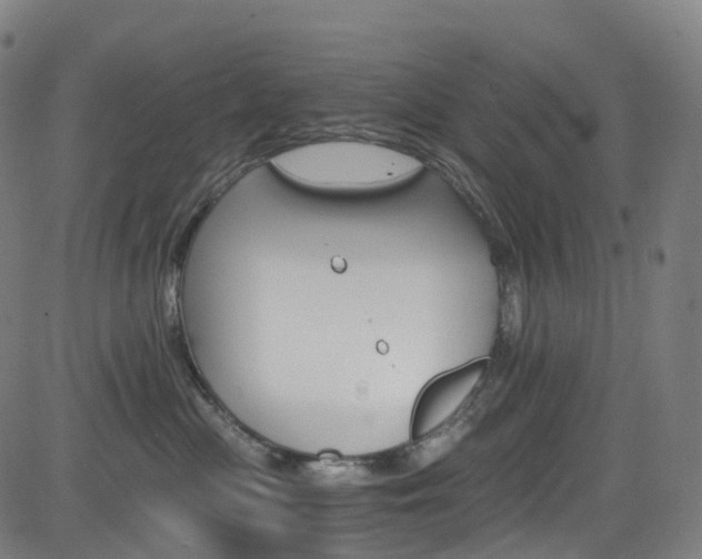 X0000085260477200703091328