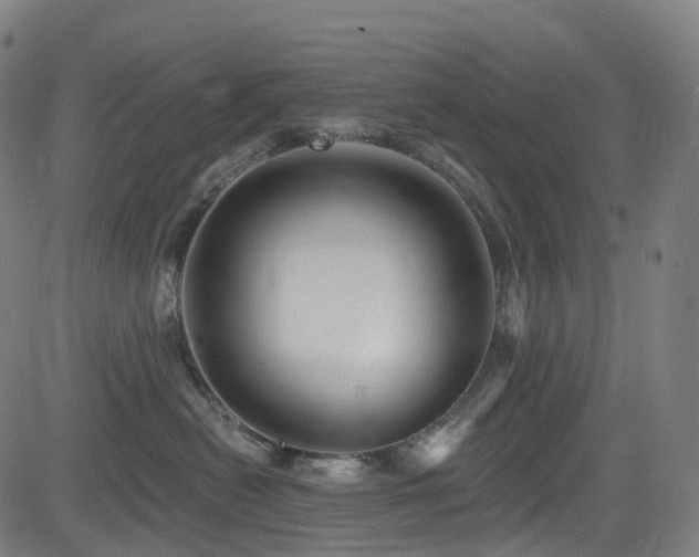 X0000085260478200703091328