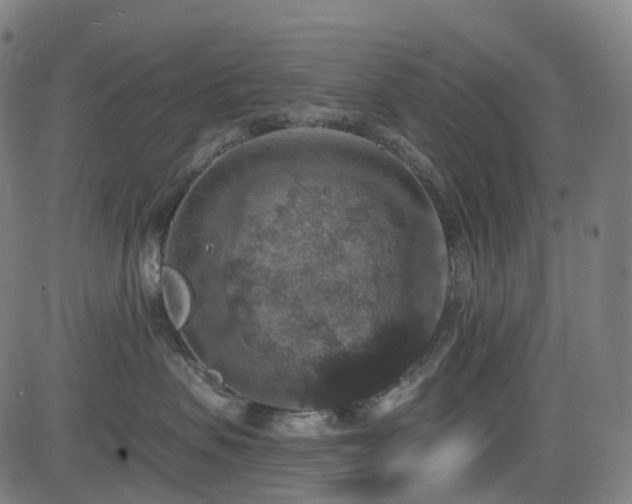 X0000085260479200703091328