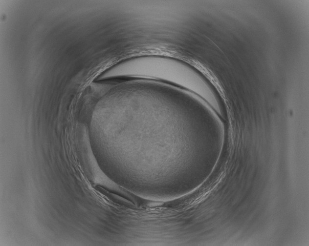 X0000085260481200703091327