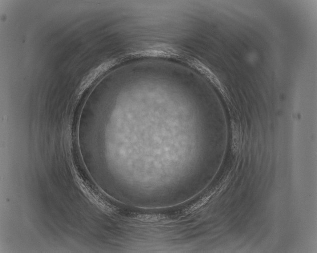 X0000085260482200703091327