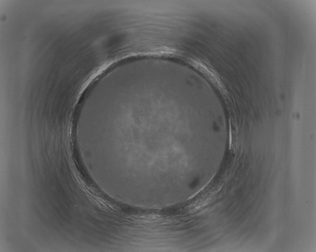 X0000085260483200703091327