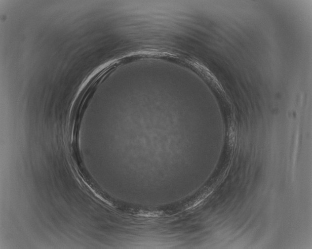 X0000085260484200703091327