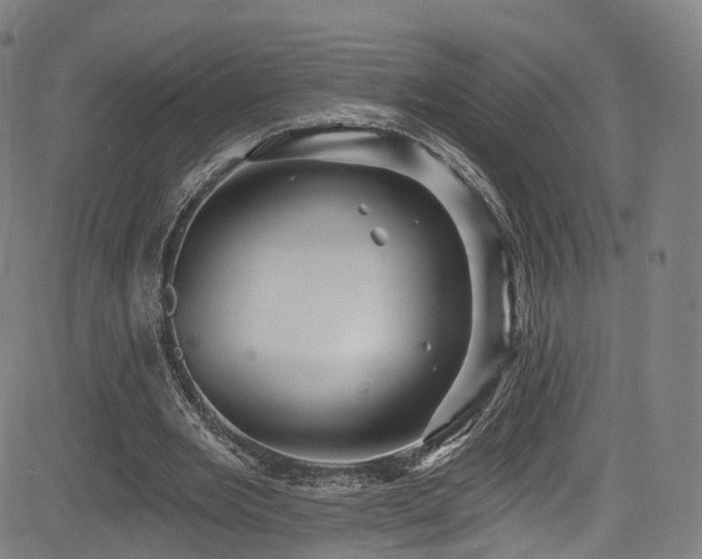 X0000085260485200703091327