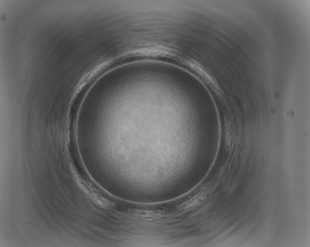 X0000085260486200703091327