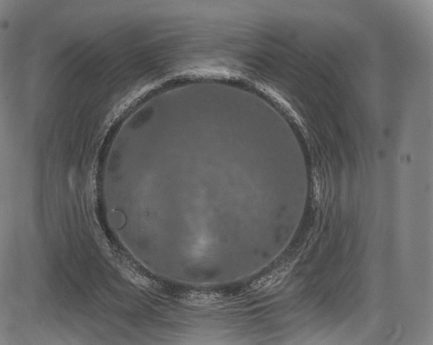 X0000085260487200703091327