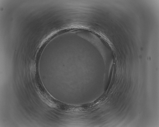 X0000085260488200703091327