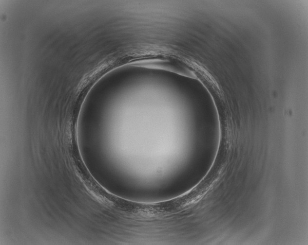 X0000085260489200703091327