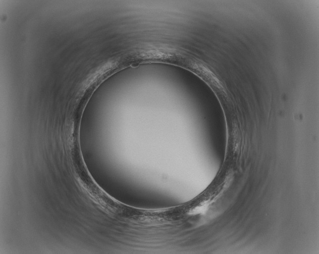 X0000085260490200703091327