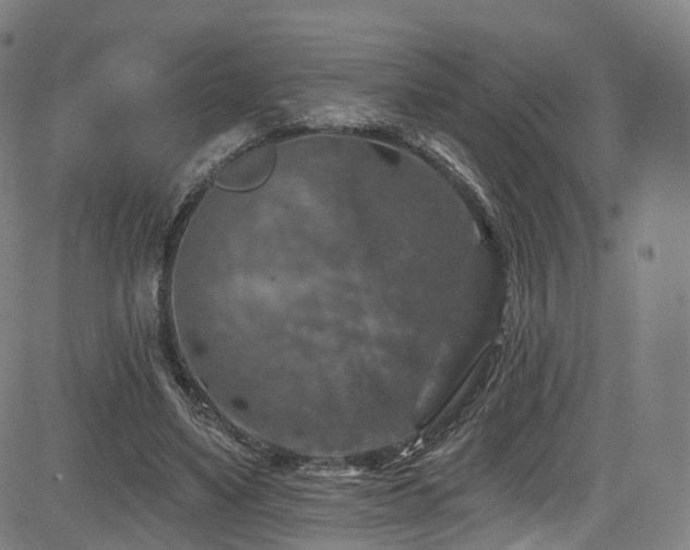 X0000085260491200703091327