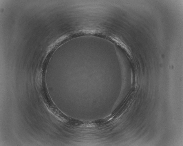 X0000085260492200703091327