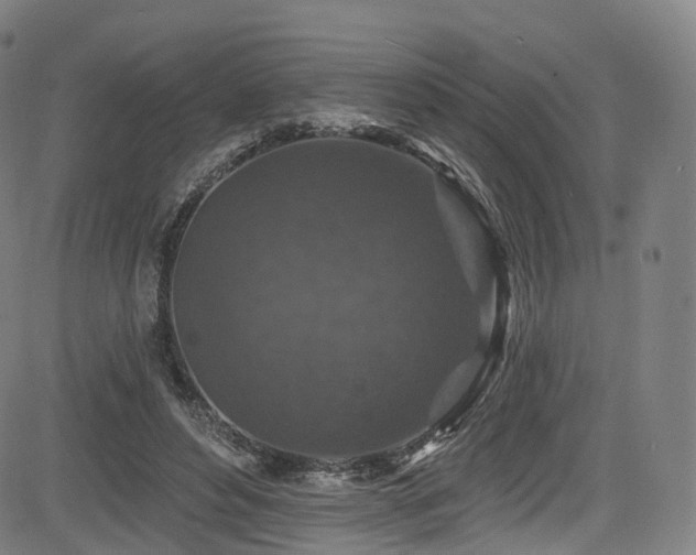 X0000085260496200703091327