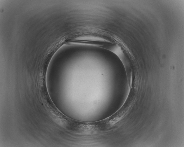 X0000085260497200703091327