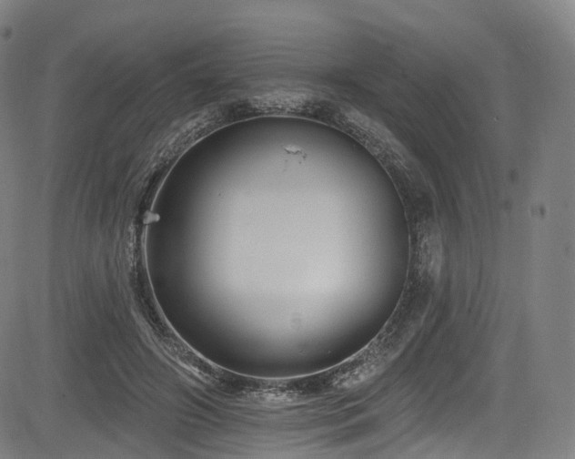 X0000085260498200703091327