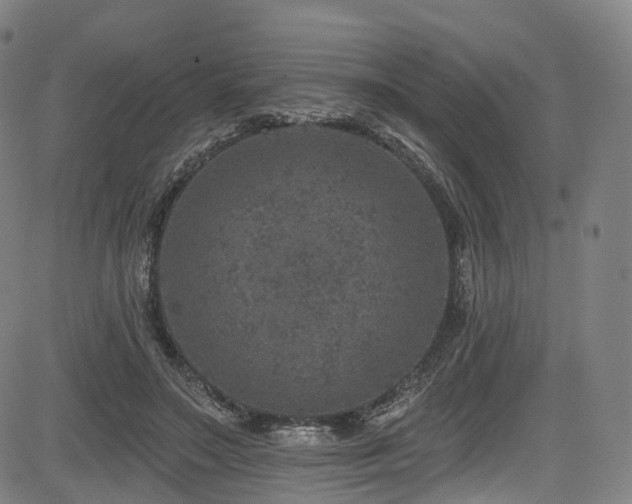 X0000085260499200703091327